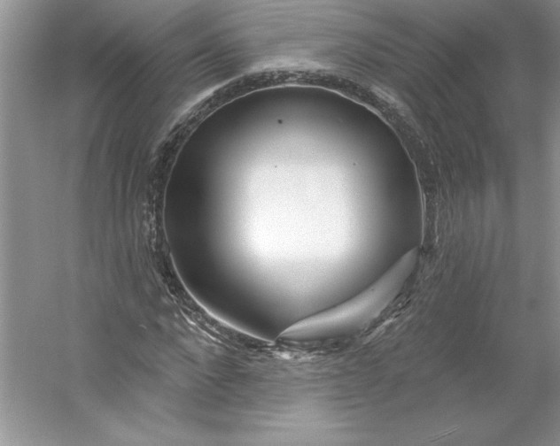 X0000053120872200507251720