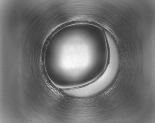 X0000053120880200507251720