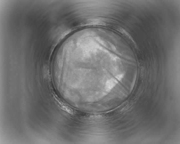 X0000053120882200507251720