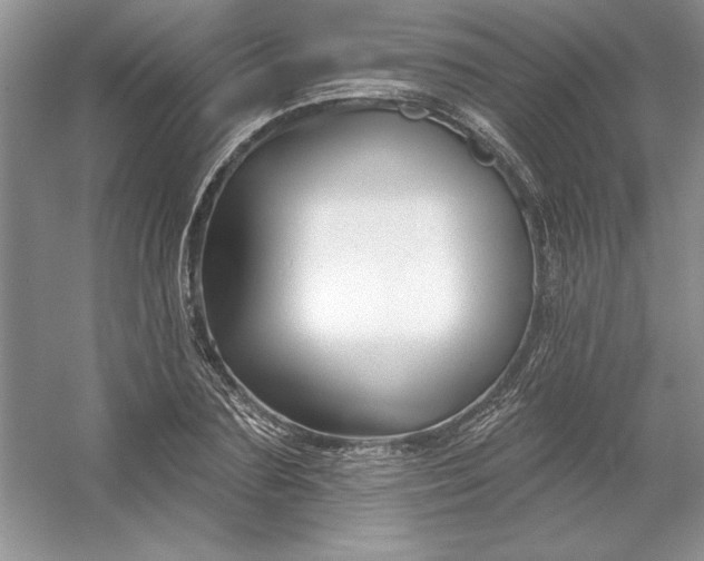 X0000053120883200507251720