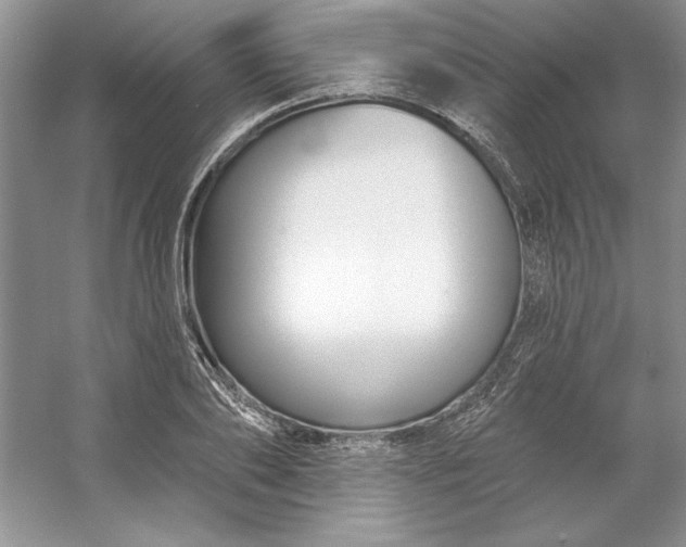 X0000053120886200507251720
