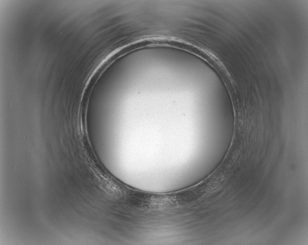 X0000053120887200507251720