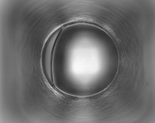 X0000053120888200507251720