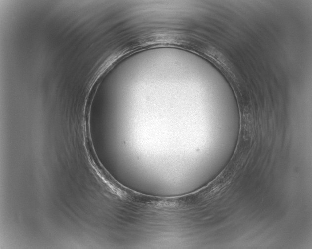 X0000053120890200507251720