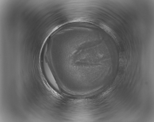 X0000053120892200507251720