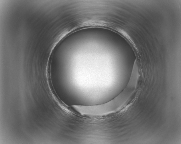 X0000053120893200507251720