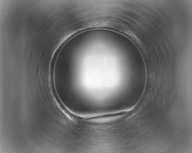 X0000053120894200507251720