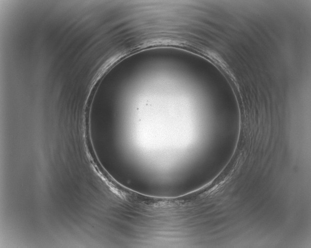 X0000053120898200507251720