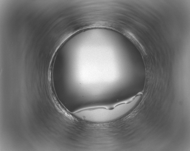 X0000053120900200507251720