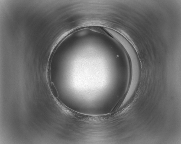 X0000053120901200507251720