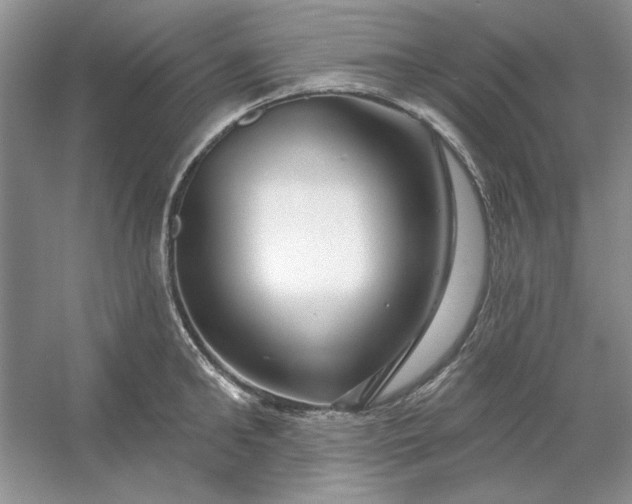 X0000053120902200507251720