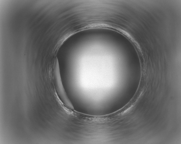 X0000053120905200507251720