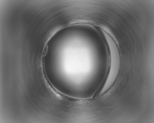 X0000053120906200507251720
