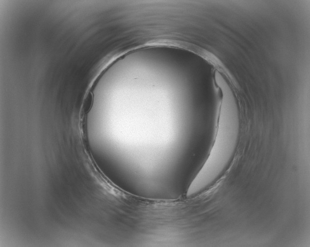 X0000053120908200507251720