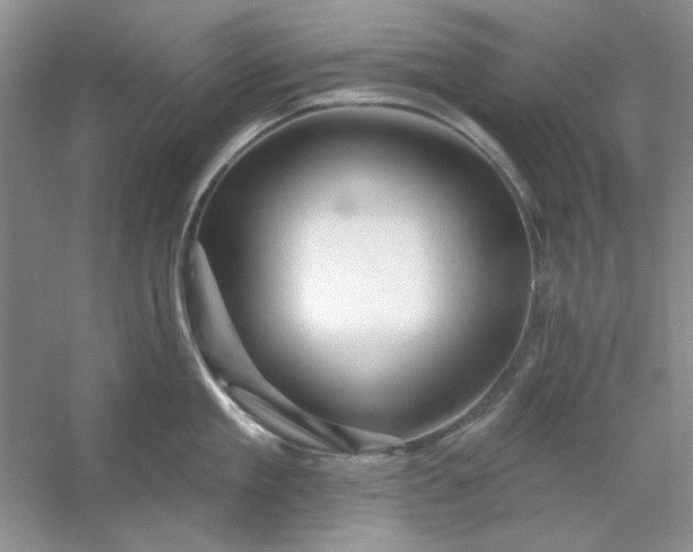 X0000053120909200507251720