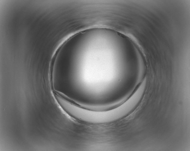 X0000053120910200507251720