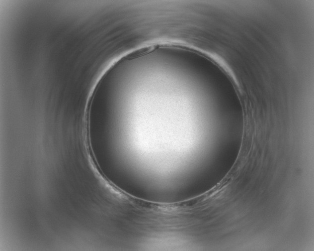 X0000053120911200507251720