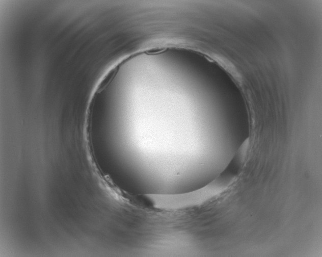 X0000053120912200507251720