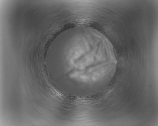 X0000053120913200507251719
