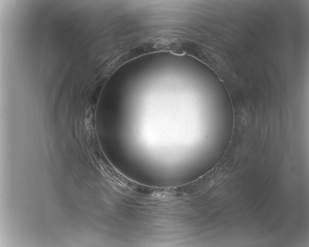 X0000053120914200507251719