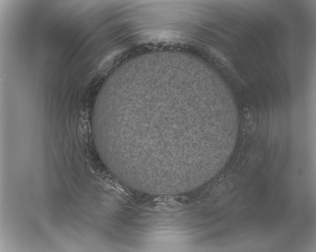 X0000053120918200507251719