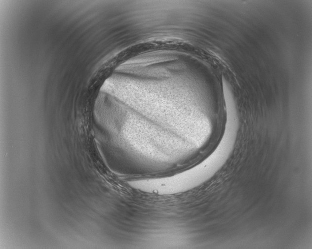 X0000053120920200507251719