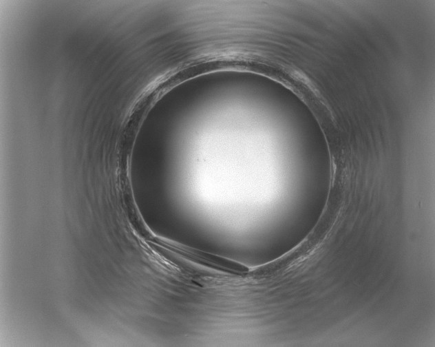 X0000053120922200507251719