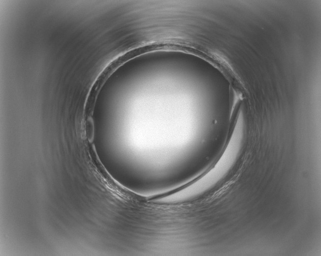 X0000053120924200507251719