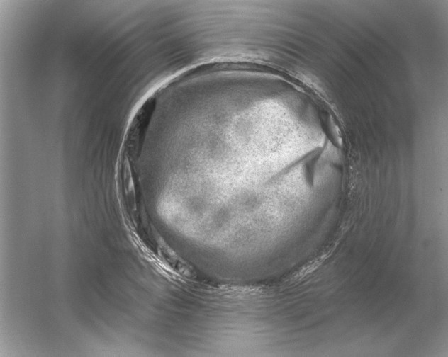 X0000053120928200507251719