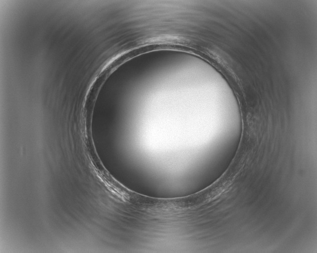 X0000053120931200507251719