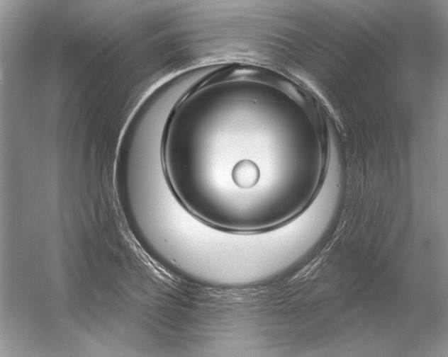 X0000053120932200507251719