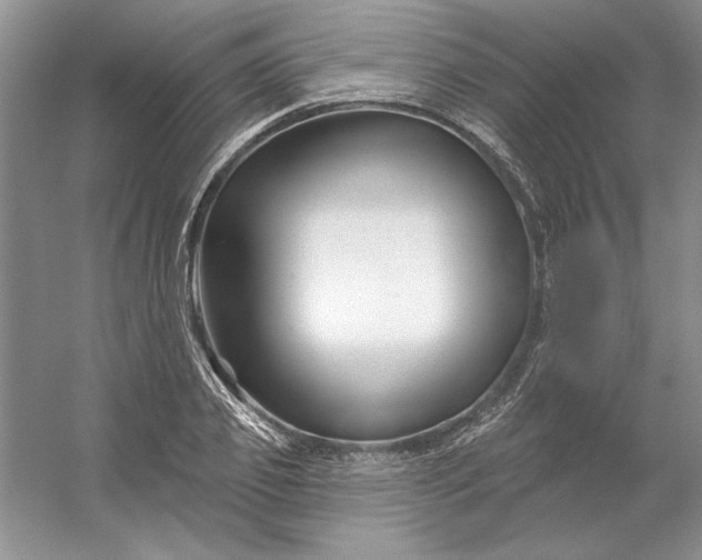X0000053120933200507251719