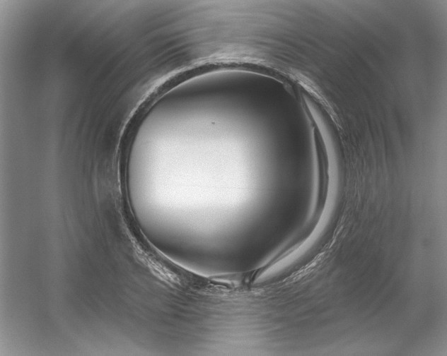 X0000053120934200507251719