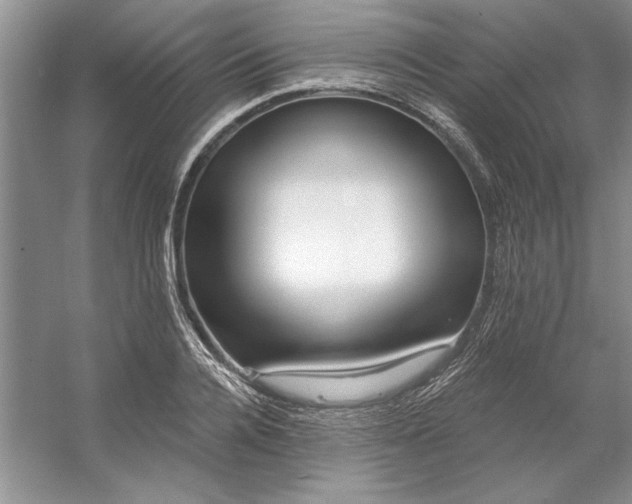 X0000053120936200507251719