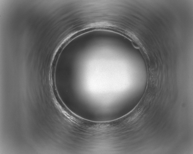 X0000053120939200507251719