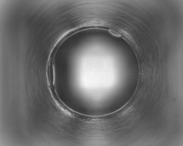 X0000053120942200507251719
