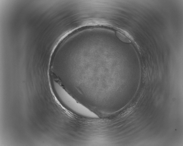 X0000053120943200507251719