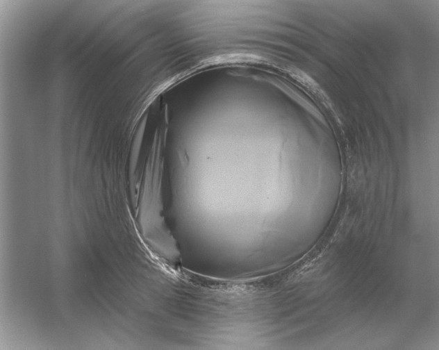 X0000053120945200507251719
