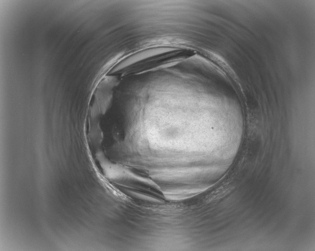 X0000053120946200507251719