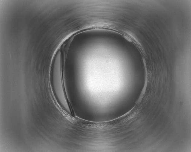 X0000053120948200507251720