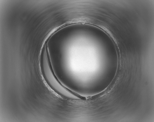 X0000053120949200507251720