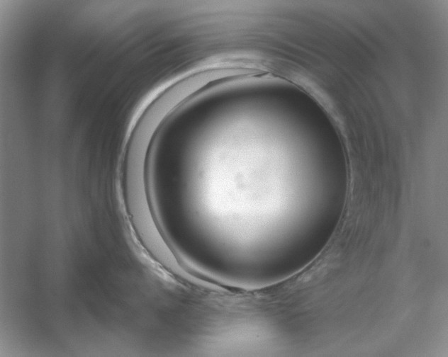 X0000053120960200507251720