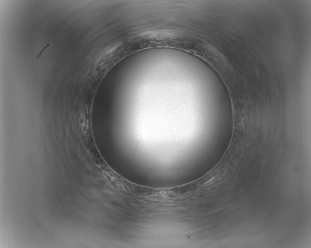 X0000053120966200507251719