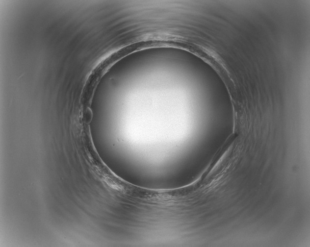 X0000053120971200507251719