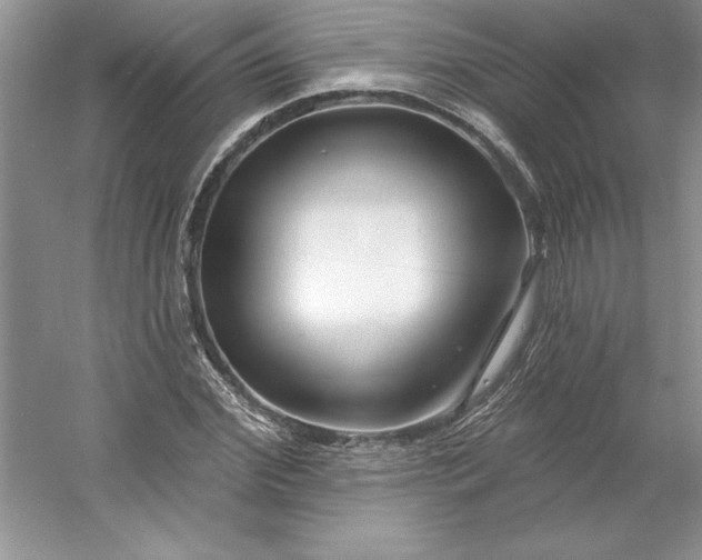 X0000053120972200507251719