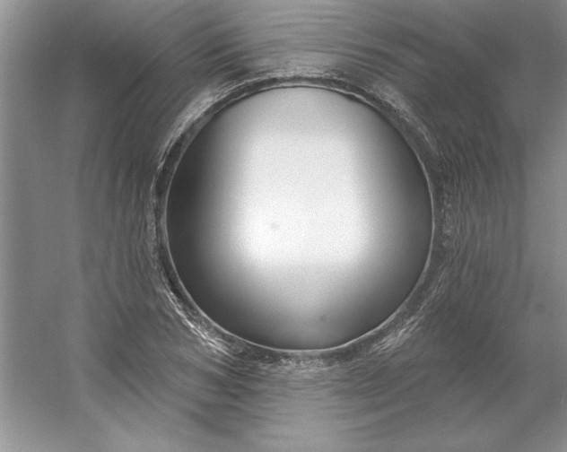 X0000053120978200507251719