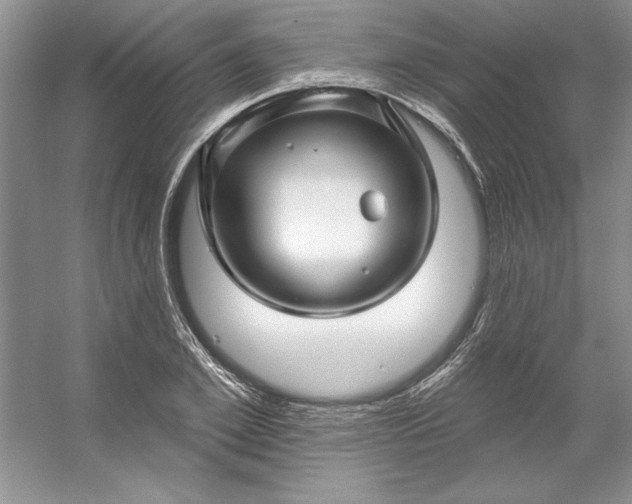 X0000053120981200507251719