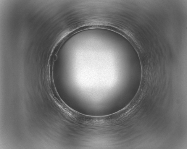 X0000053120982200507251719