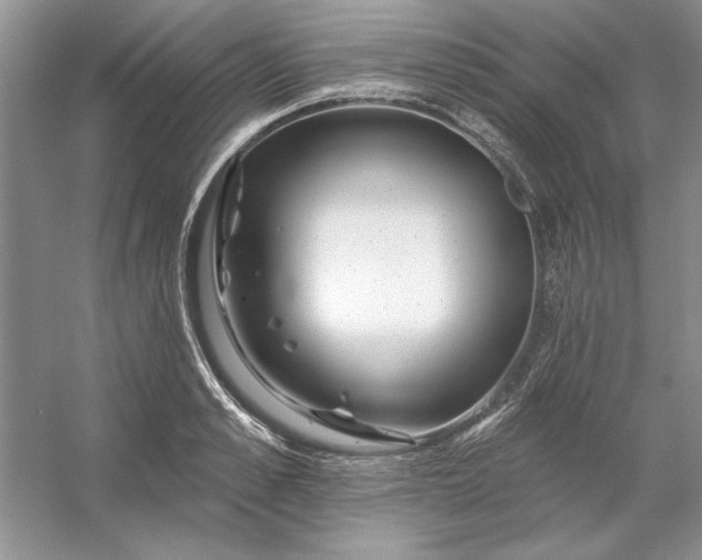 X0000053120989200507251718
