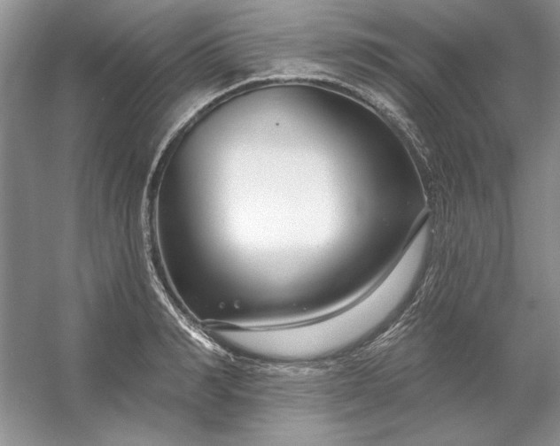 X0000053120990200507251718